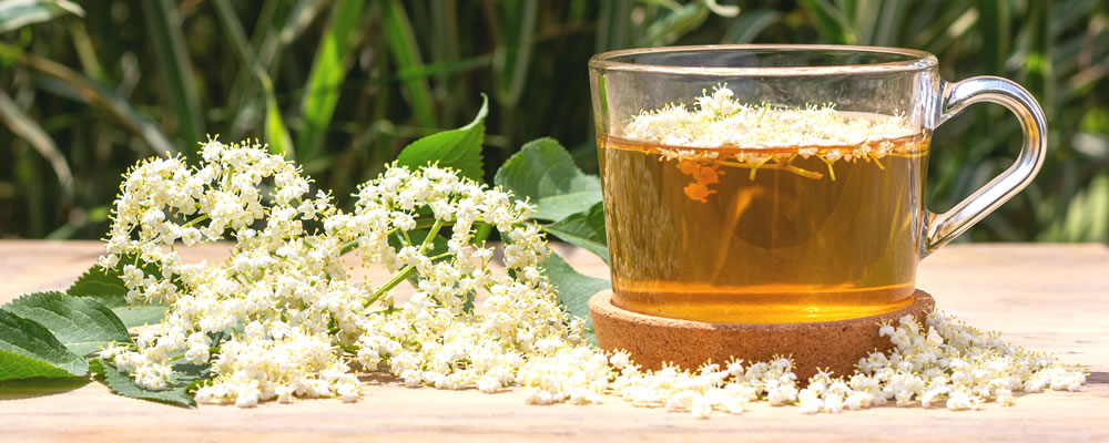 Kozlík čaj pro klidný spánek