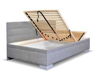 Niobe s dlouhým čelem - detail