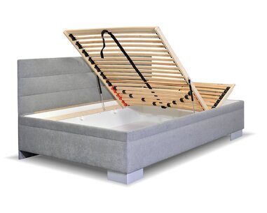 Niobe s dlouhým čelem - detail