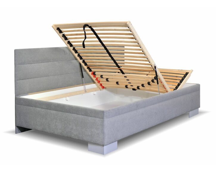 Niobe s dlouhým čelem - detail