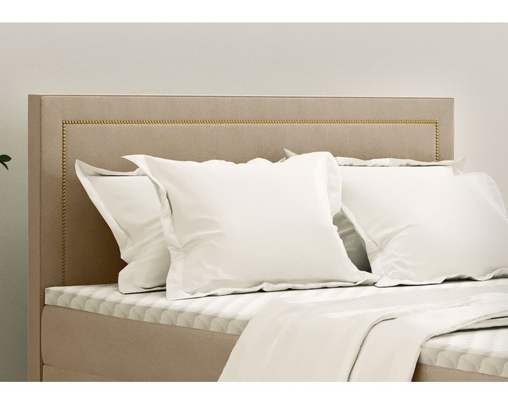 Golden postel - čelo