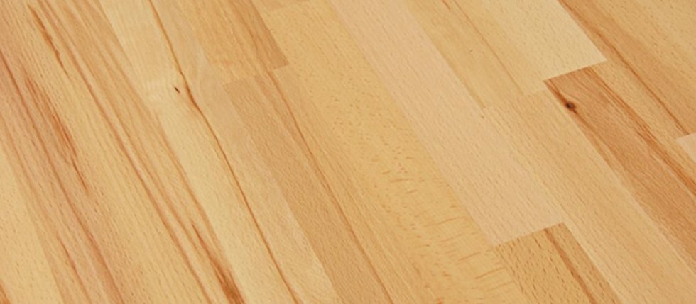 Co je to jádrový buk pro nábytek