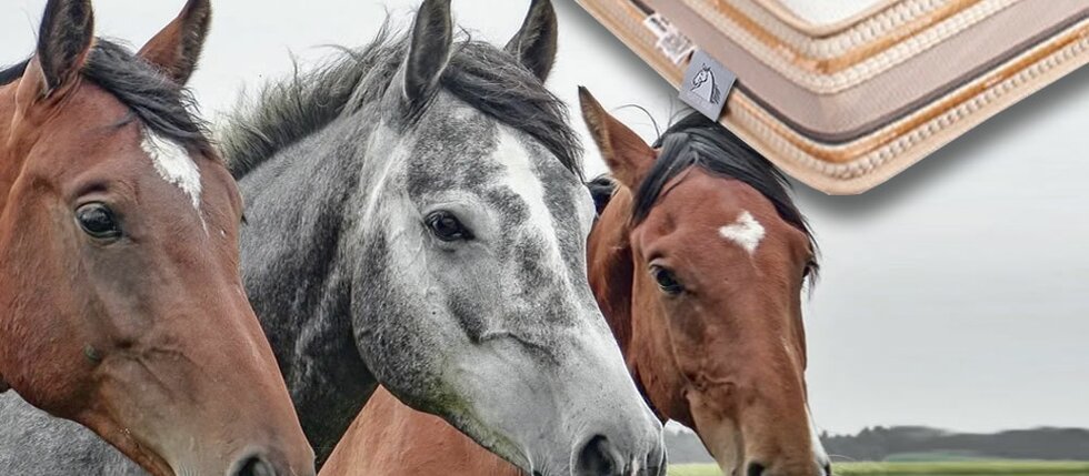 Proč si koupit přírodní matraci s koňskými žíněmi? Proč si koupit přírodní matraci s koňskými žíněmi?